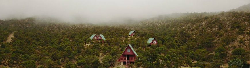 potosi-pines-cabins-in-fog
