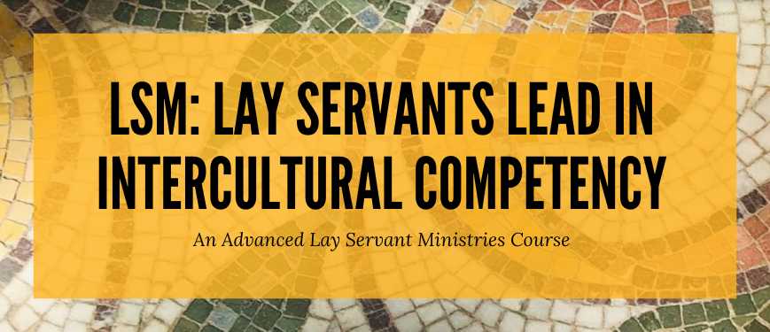 LSM: Lay Servants Lead in Intercultural Competency