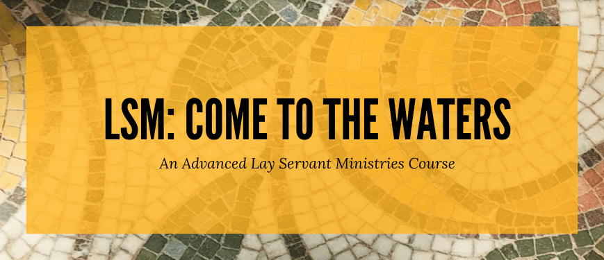 LSM: Come to the Waters